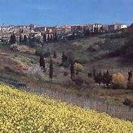 Guardistallo - Panorama